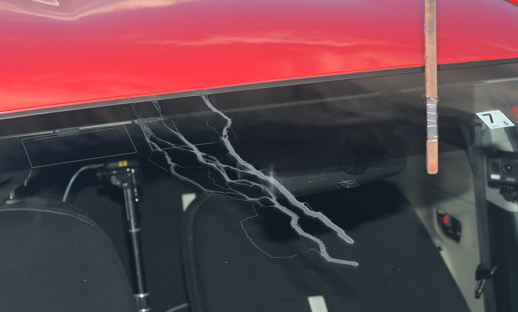 雷の痕の画像