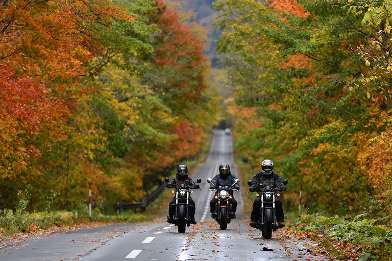 紅葉の中を走る3台のバイクの写真