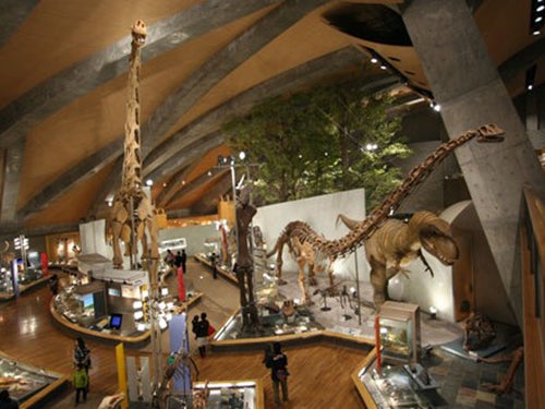 恐竜の骨格標本が並ぶコーナー