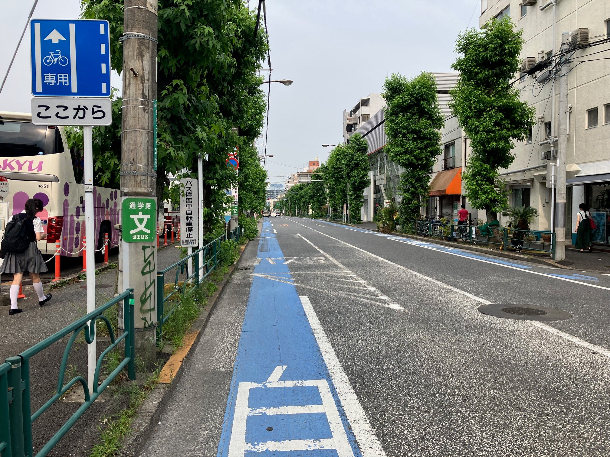 普通自転車専用通行帯がある道路