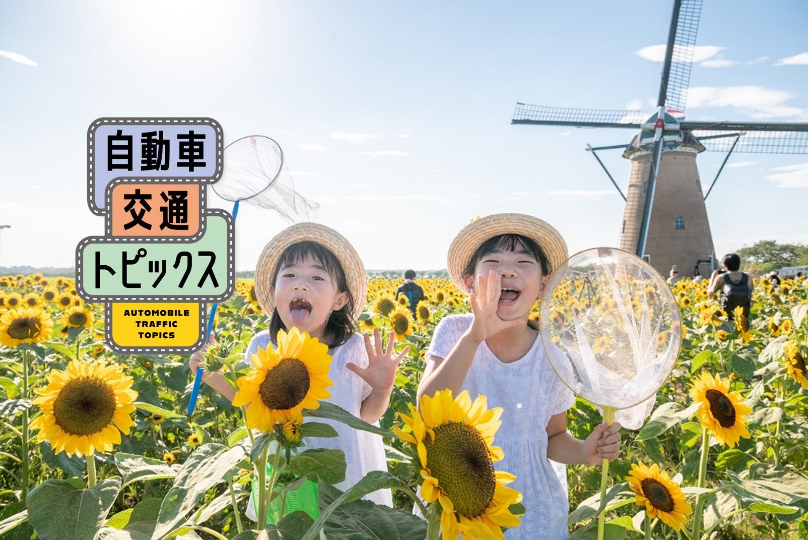 風車のひまわりガーデン写真