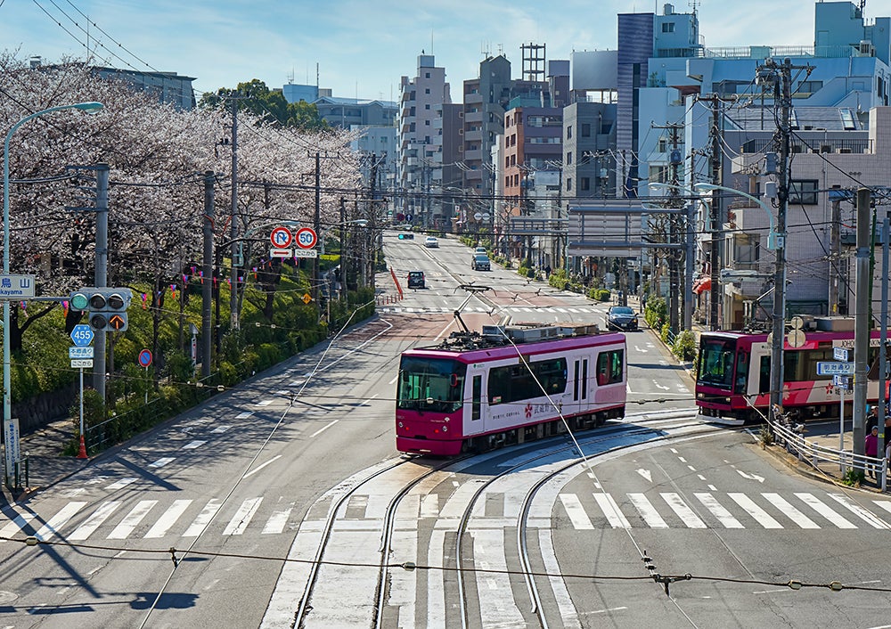 飛鳥山交差点付近を通る都電荒川線の風景