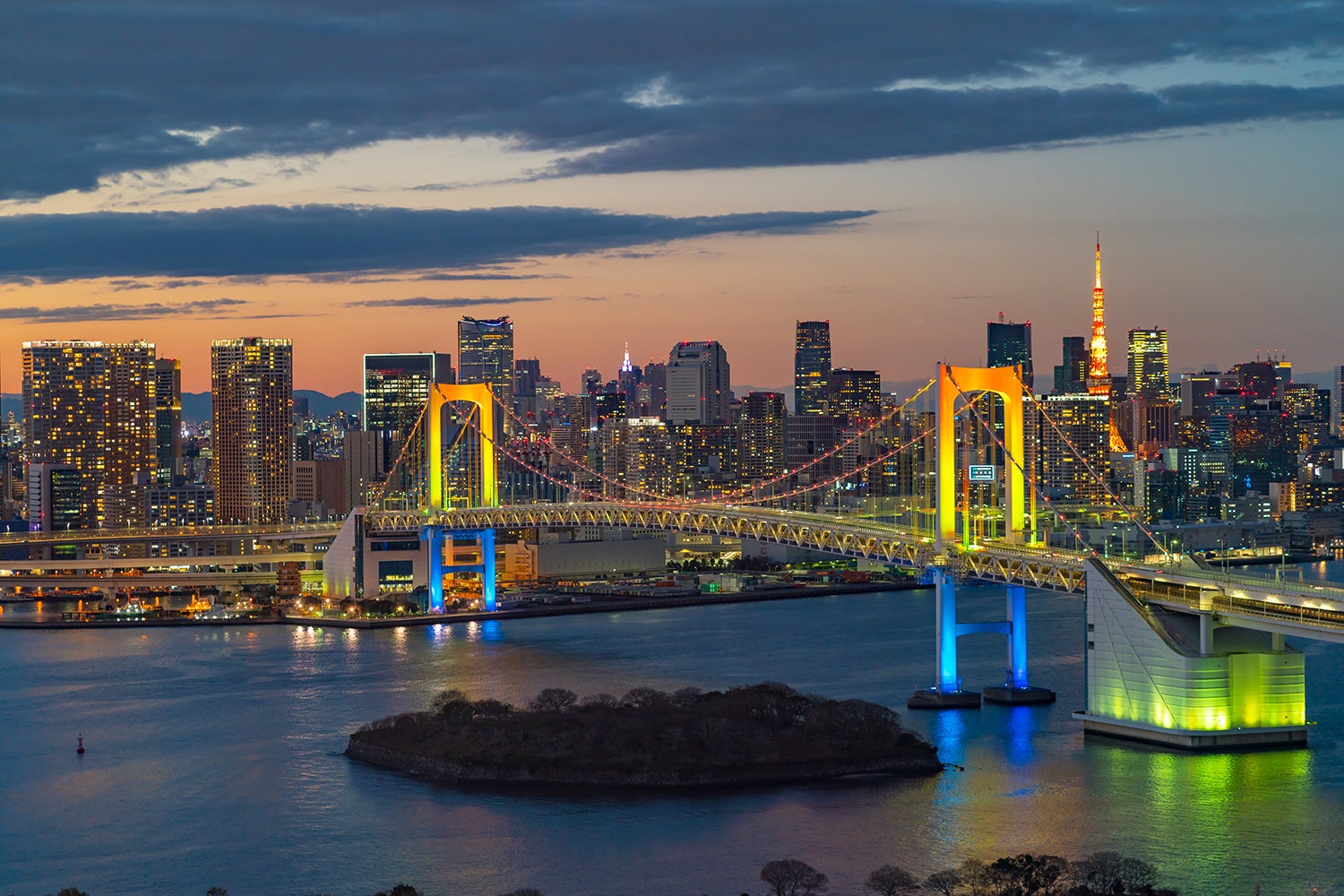 ライトアップしたレインボーブリッジと都心部の夜景