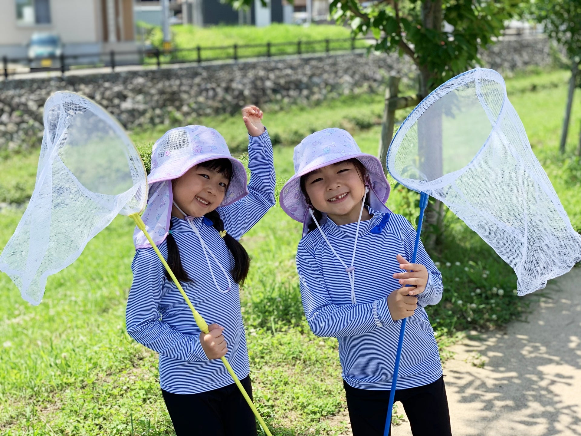 ライトトラップで虫とりをする親子向けイベントが開催