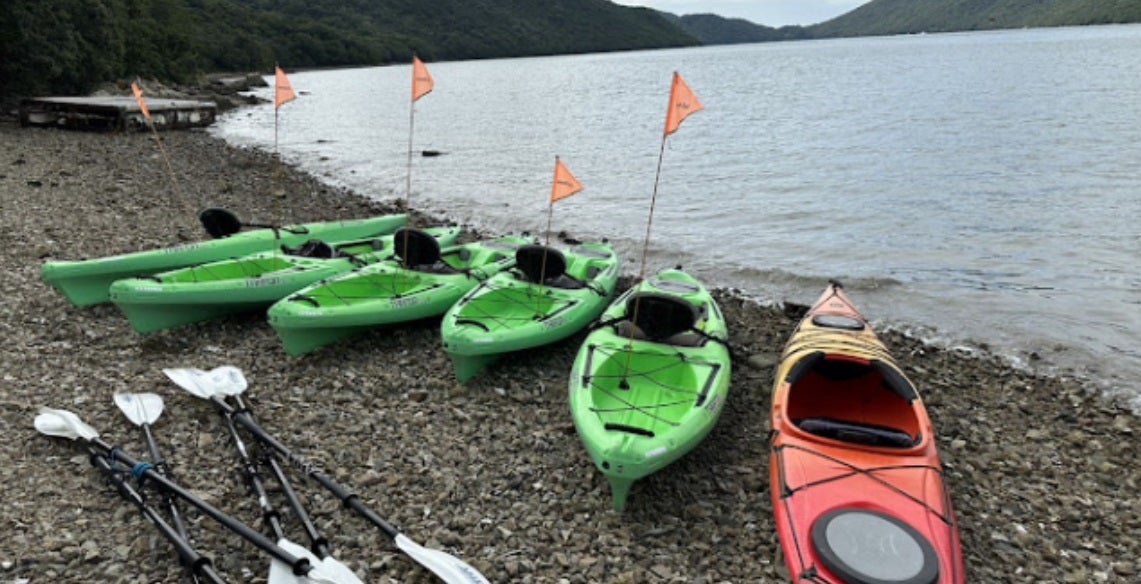 ビーチサイトでは釣りや海遊びも楽しめる