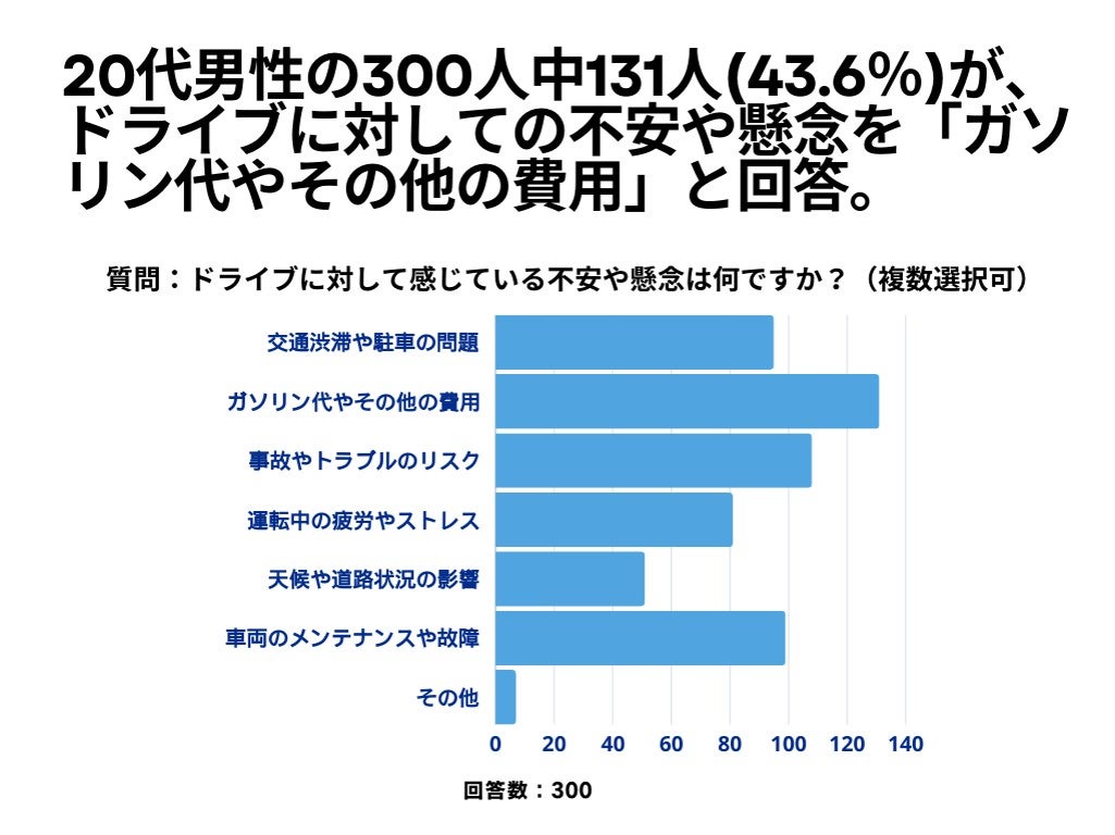 ドライブに対して不安や懸念を質問した際の返答データ