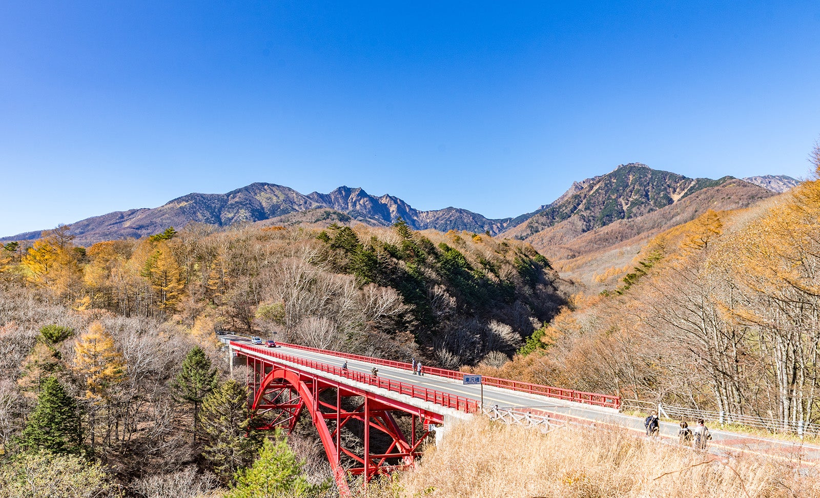 八ヶ岳高原ラインの東沢大橋