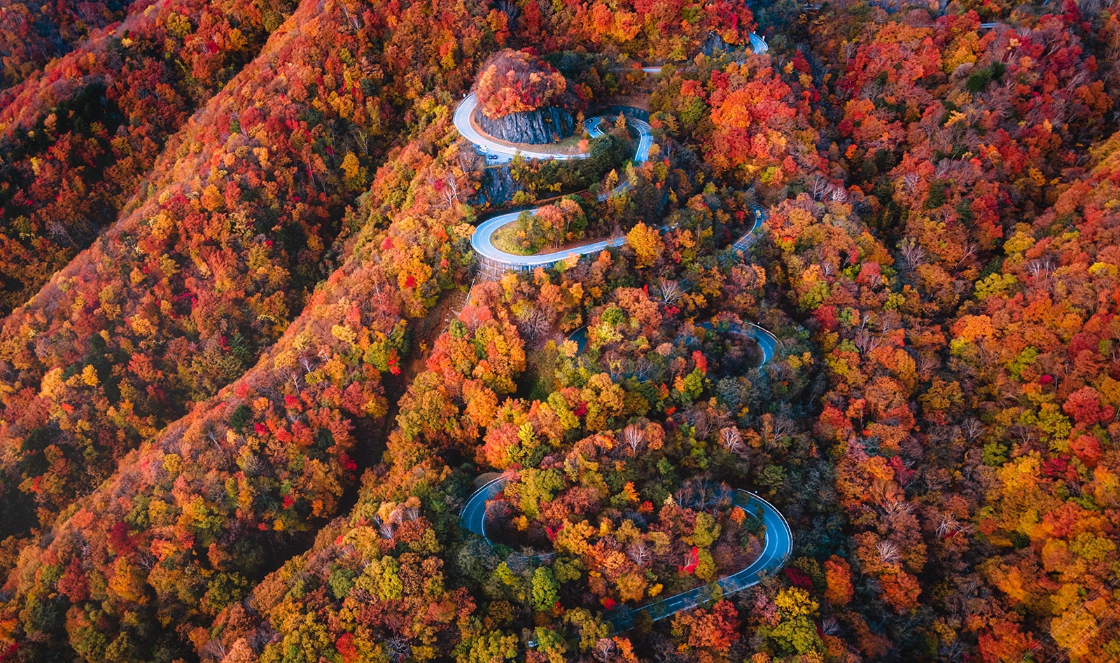 日光のドライブ名所「いろは坂」の紅葉