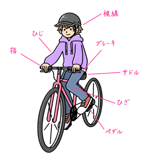 自転車の基本姿勢