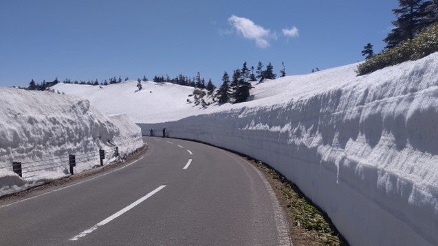 冬期閉鎖解除後に見られる雪の回廊