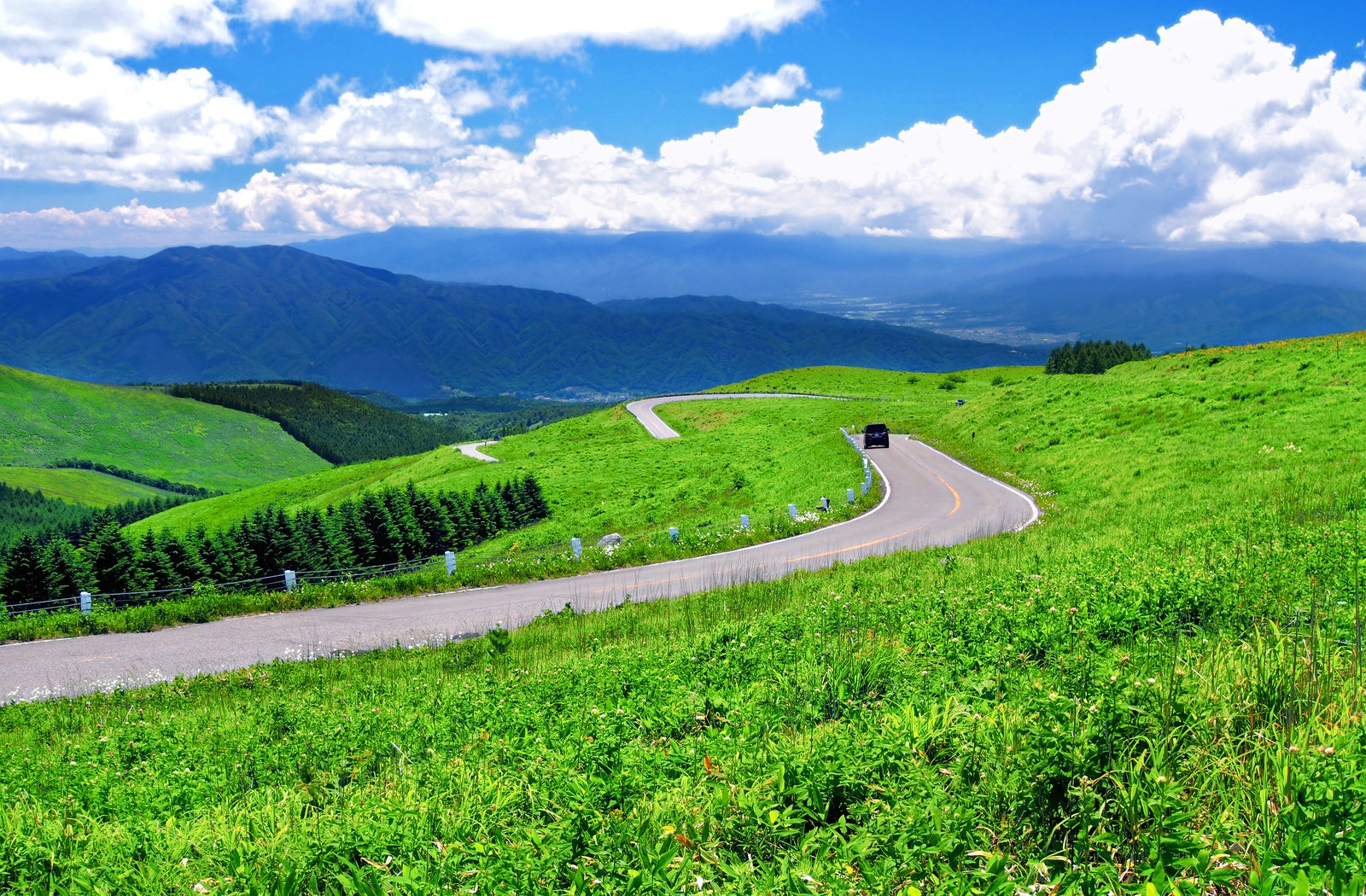 清々しい初夏の高原の道路を走る車