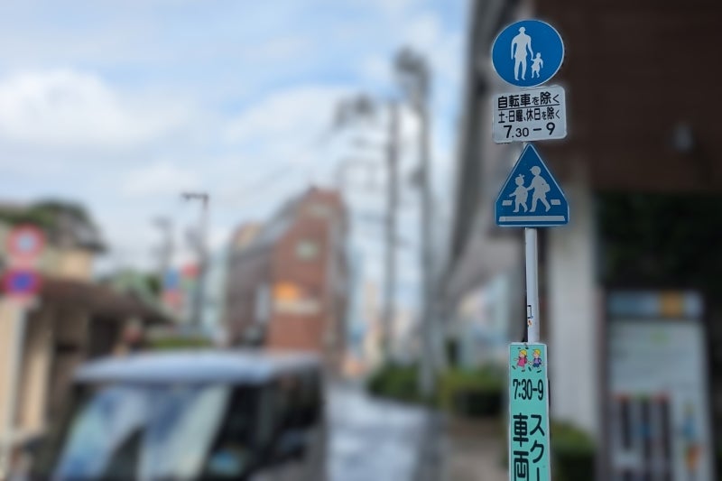 調査地点の道路