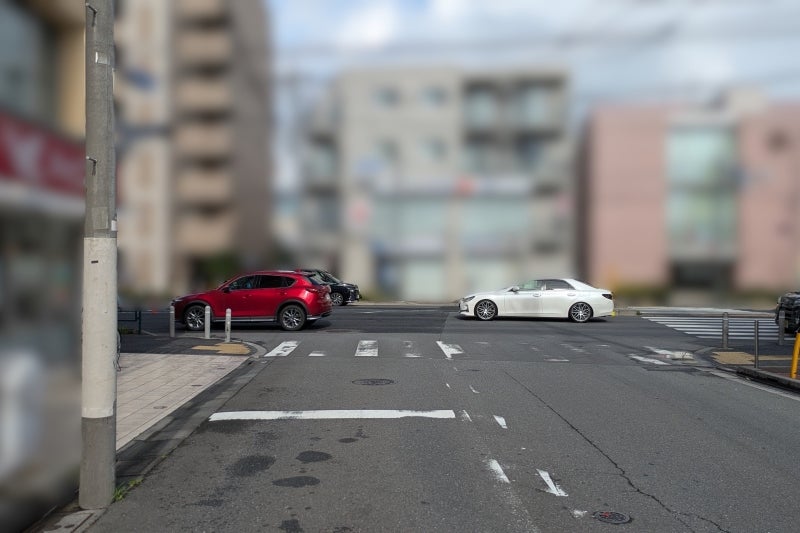 調査地点の道路