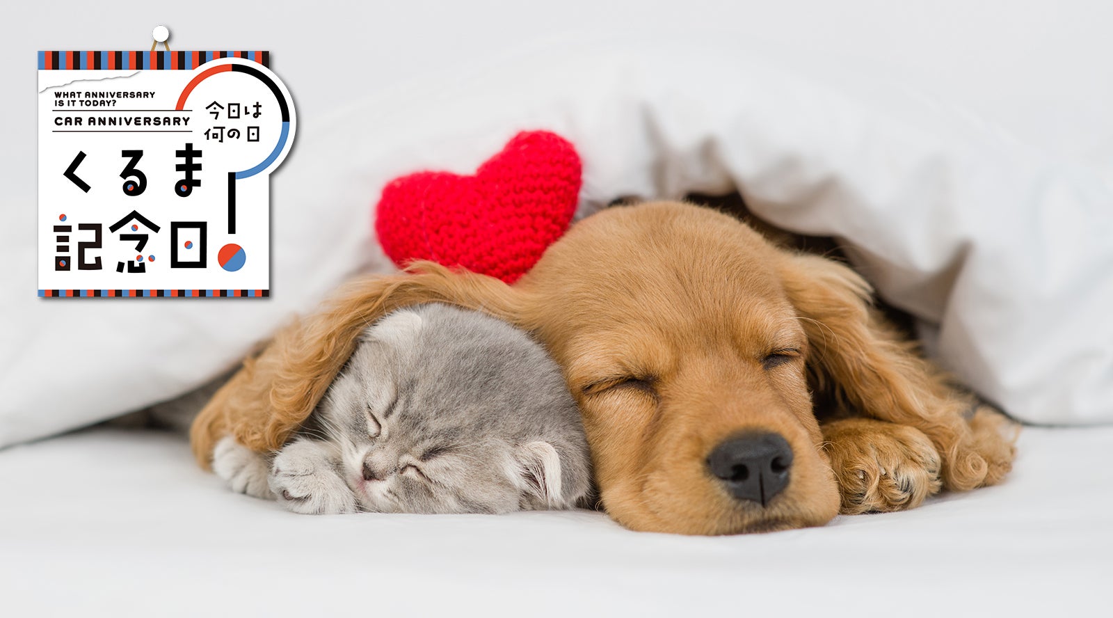 9月3日は「秋の睡眠の日」|今日は何の日？ くるま記念日