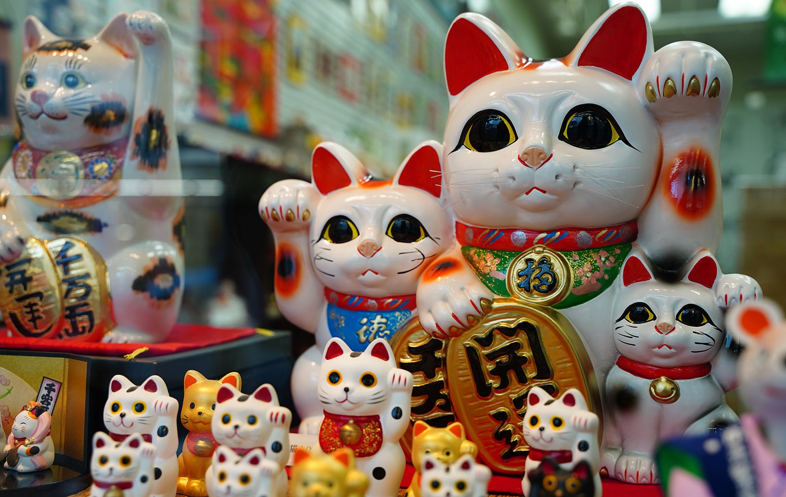 色や形状で意味が異なり、いろいろな種類がある招き猫