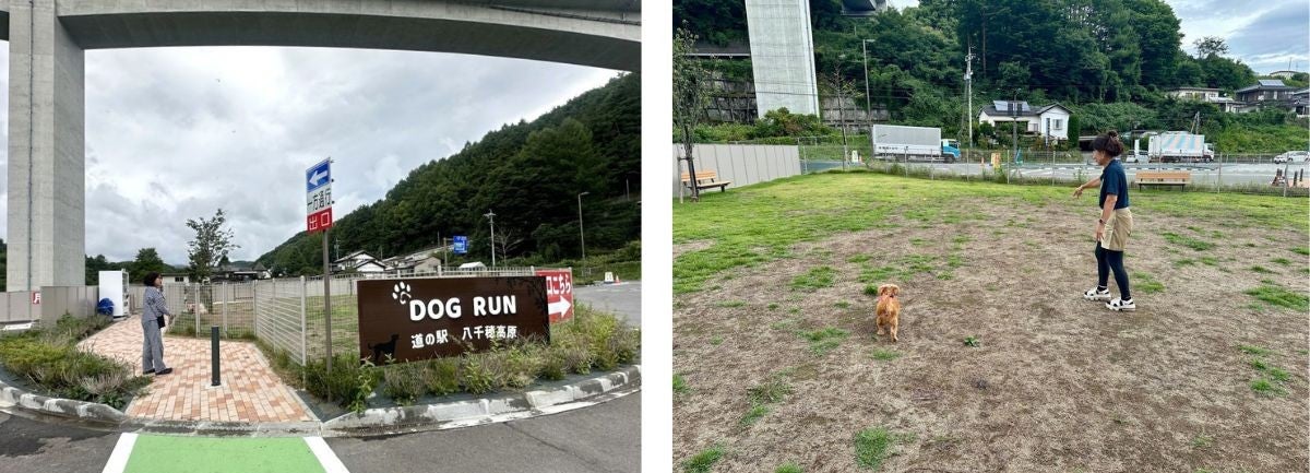 ドッグランの外観とフィールドエリア