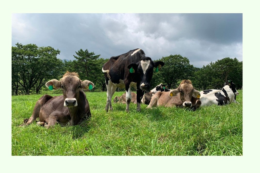 「RVパーク 大笹牧場」(写真＝一般社団法人日本RV協会)