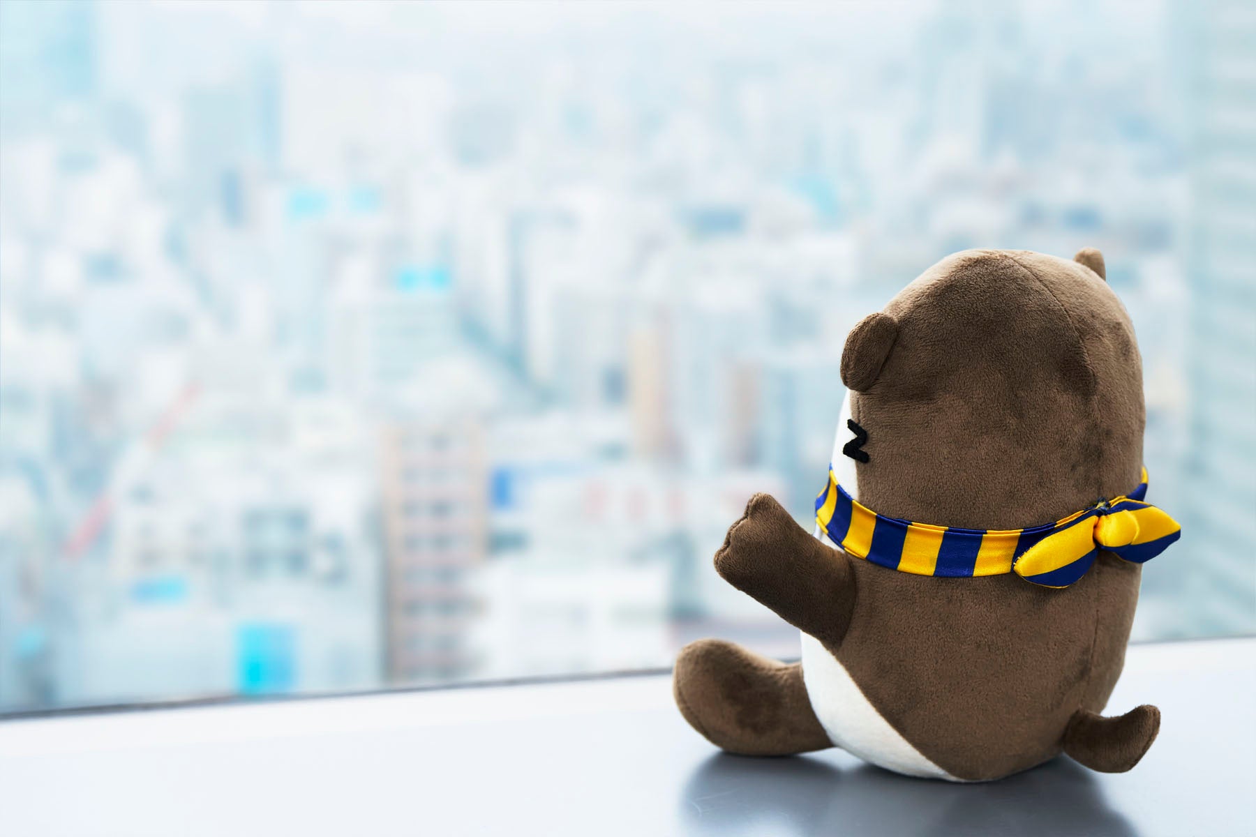 ナスバちゃんの後ろ姿