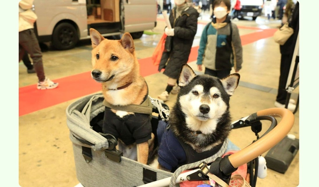 ジャパンキャンピングカーショー2026はペットと一緒に楽しめるイベント