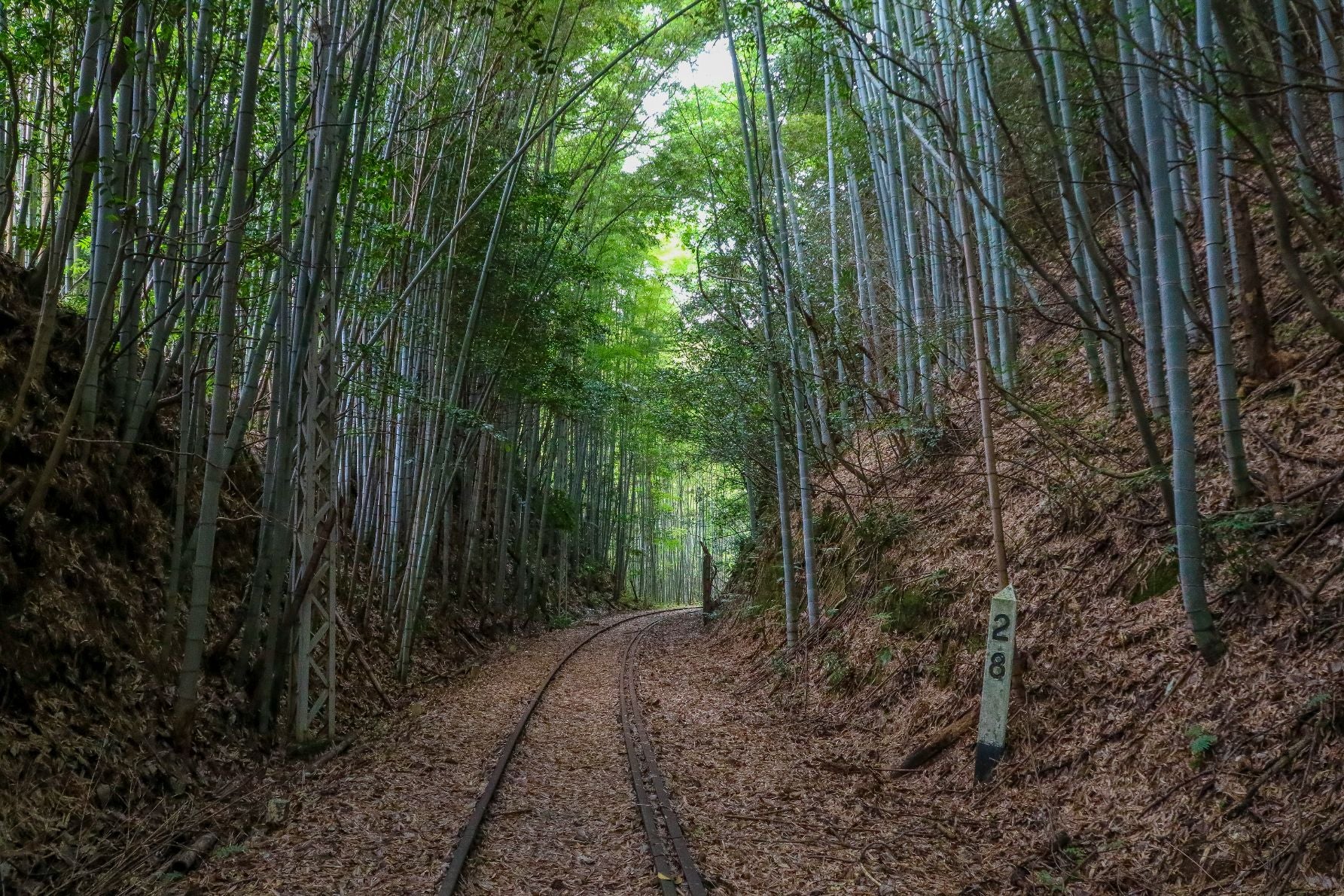 レールの記憶をたどる、名鉄三河線“山線”廃線さんぽキービジュアル