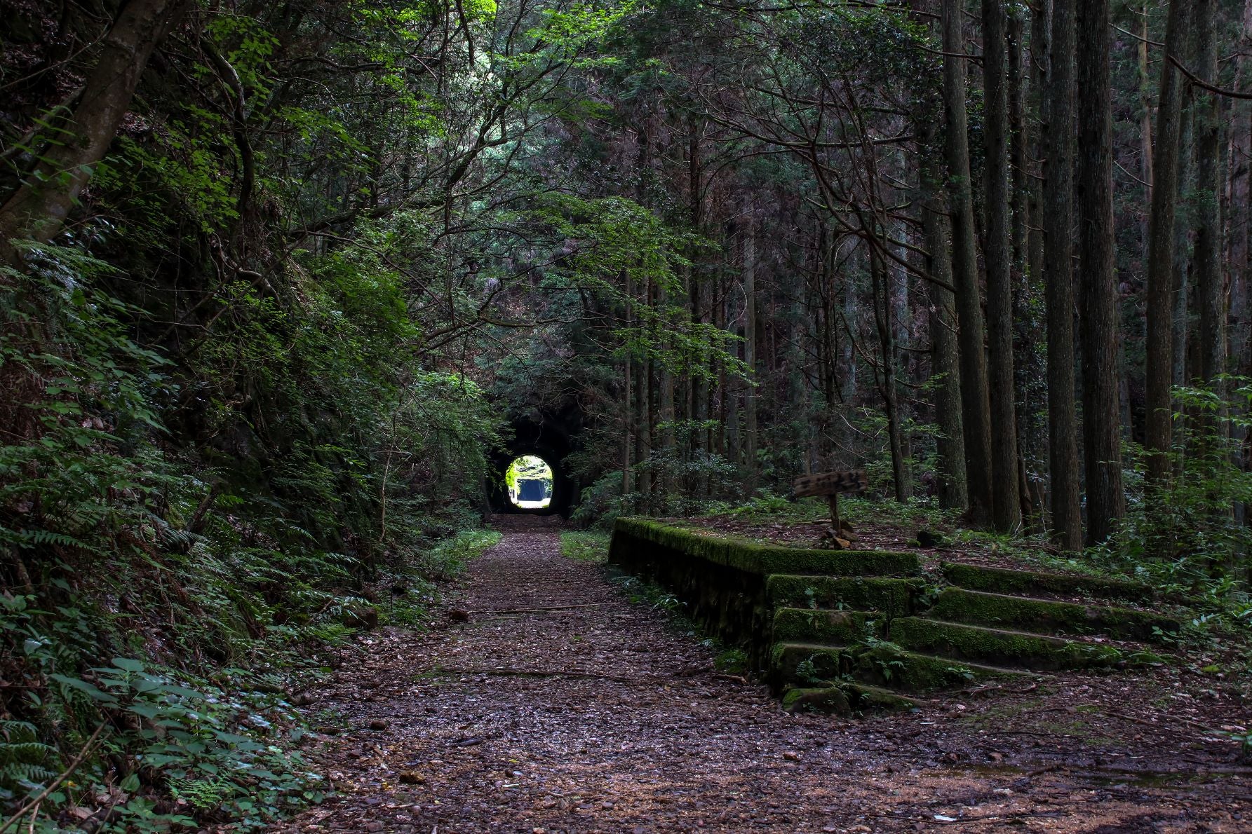 奥三河を支えた幻の鉄路、田口線跡に残る産業の記憶キービジュアル