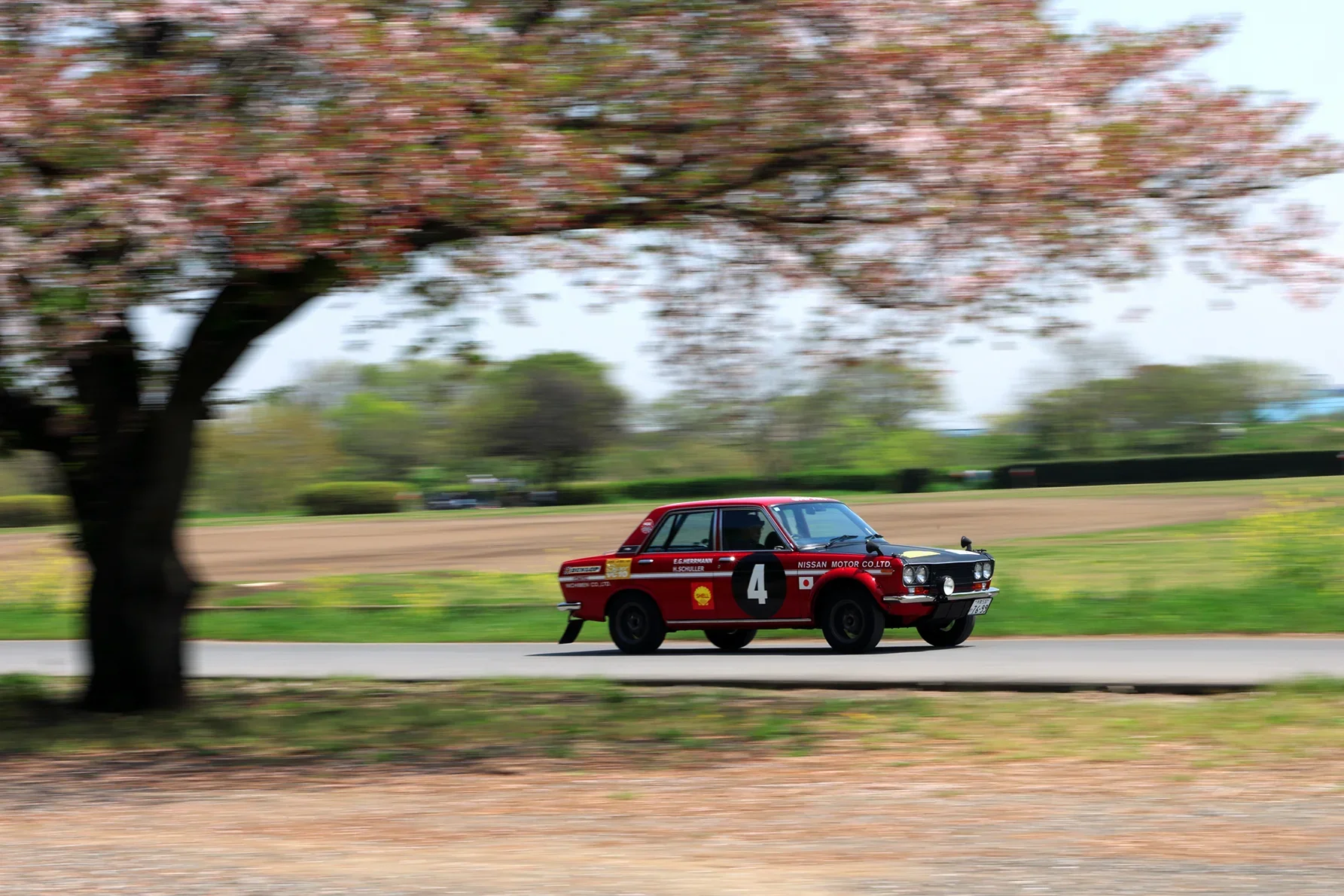 公園の直線道路を走るブルーバード510SSS