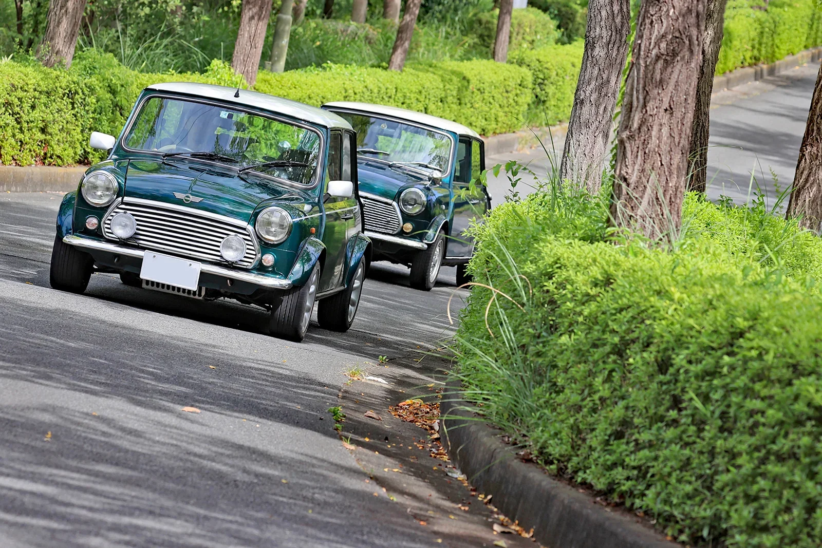 市街地の道路を走るローバー・ミニ