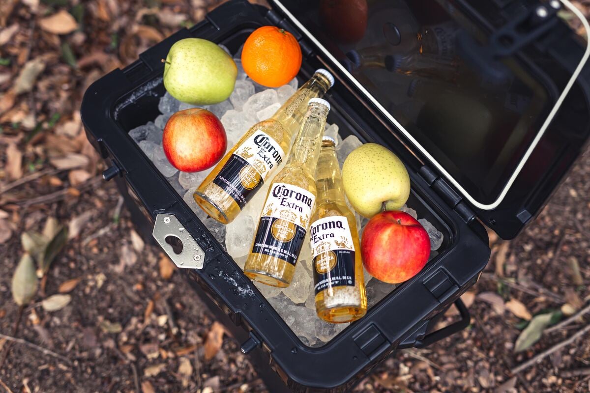 クーラーボックスの中に瓶ビールと果物が入っている写真