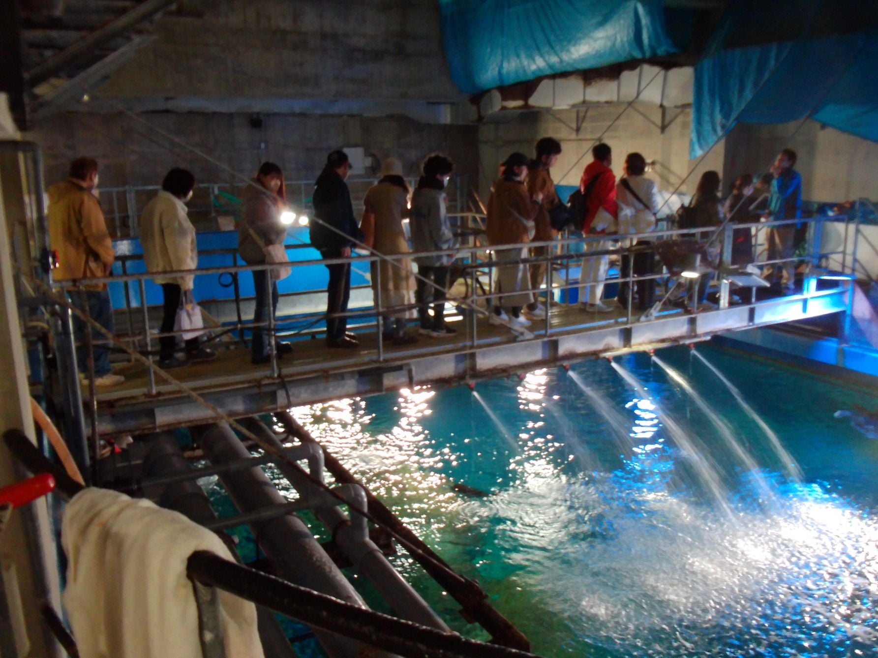 男鹿水族館GAOの裏側見学ツアーで、普段は見られない大水槽の真上（舞台裏）をスタッフの解説付きで歩く参加者たち。