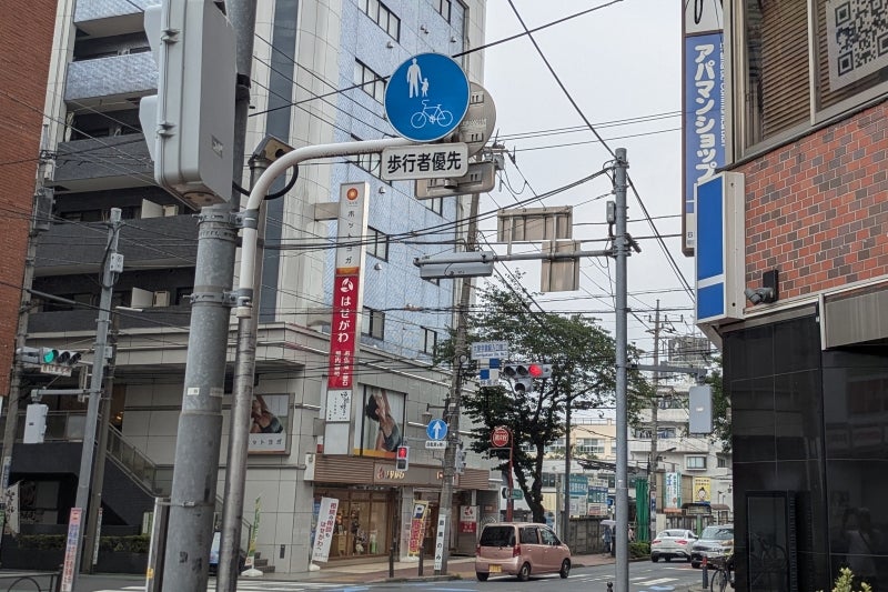 今回の調査場所