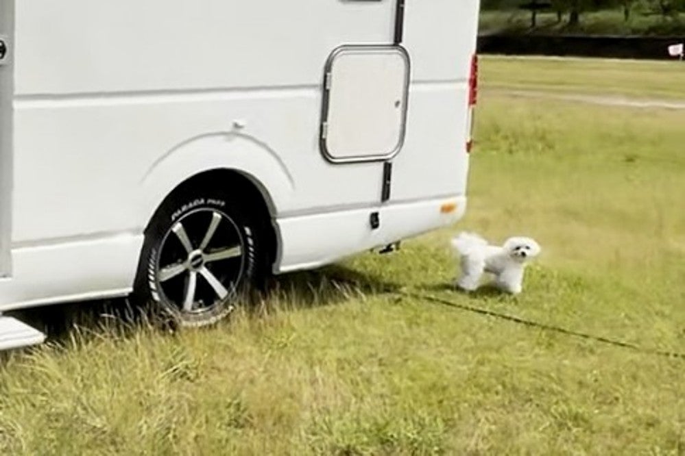 緑に囲まれた専用RVサイトに停車するキャンピングカー