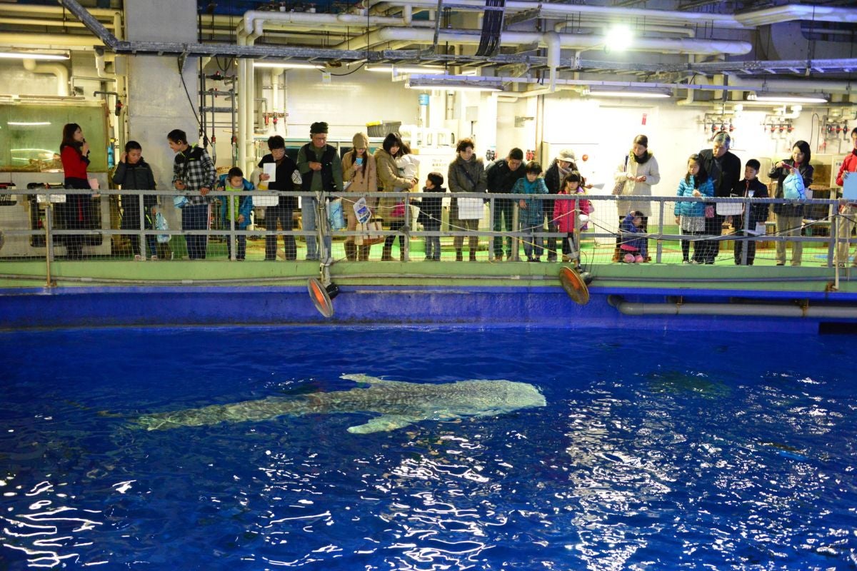 バックヤードツアーの風景