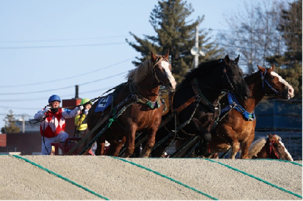 帯広競馬場の夜のばんえい競馬。騎手を乗せた鉄そりを引く2頭のばん馬がコースを走り、背景にはイルミネーションが輝いている