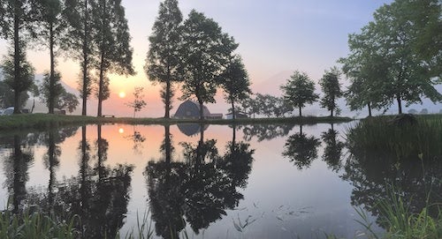 池の水面と森、朝日