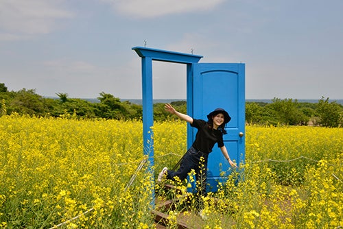 菜の花畑の中に設置された青いドアで記念撮影する女性
