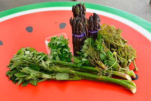 テーブルに置かれた山菜と野菜