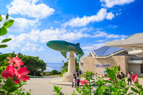 沖縄美ら海水族館のエントランス