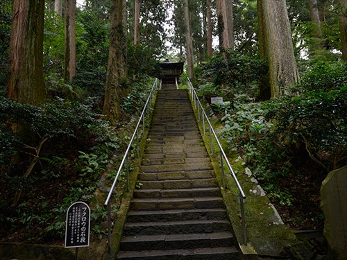鷲子山上神社のフクロウの石段