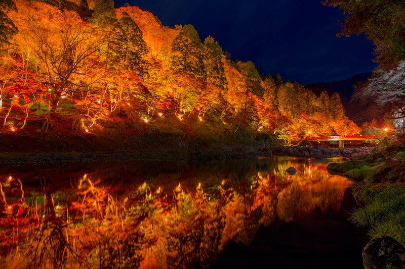 ライトアップされ水面にも映る夜の紅葉