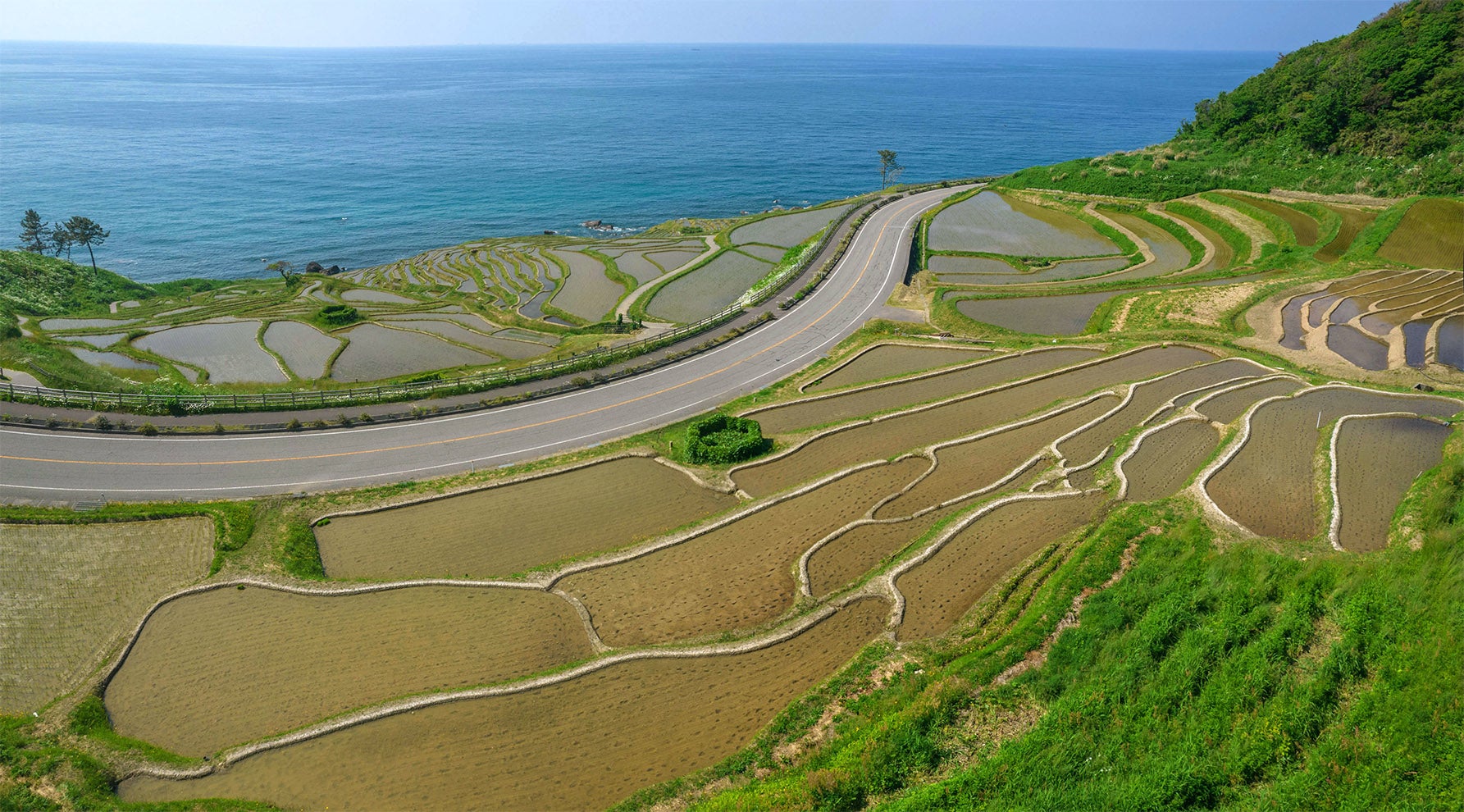 能登棚田写真 – 能登の千枚田は大丈夫 – KBOUG