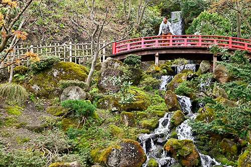 庭園の滝と橋