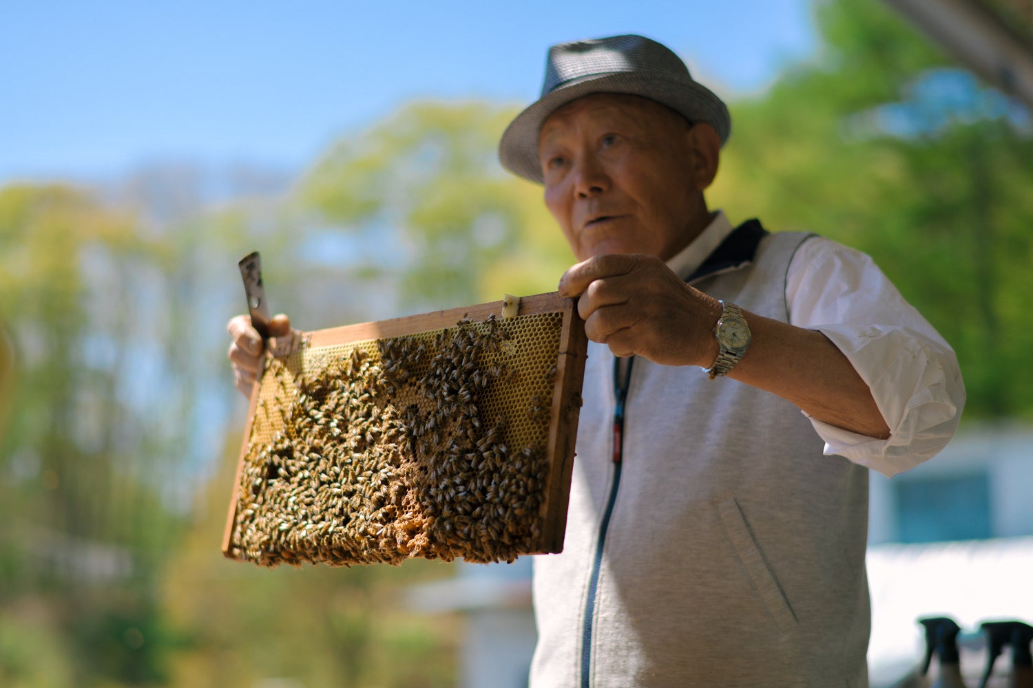ハチの巣箱を持つハチひげおじさん