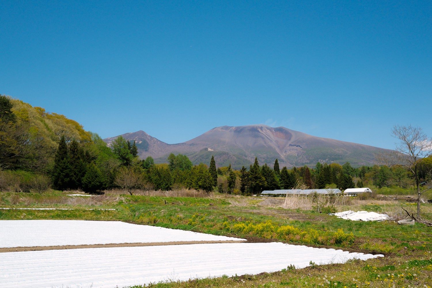 浅間山の麓にある、荻原養蜂園。