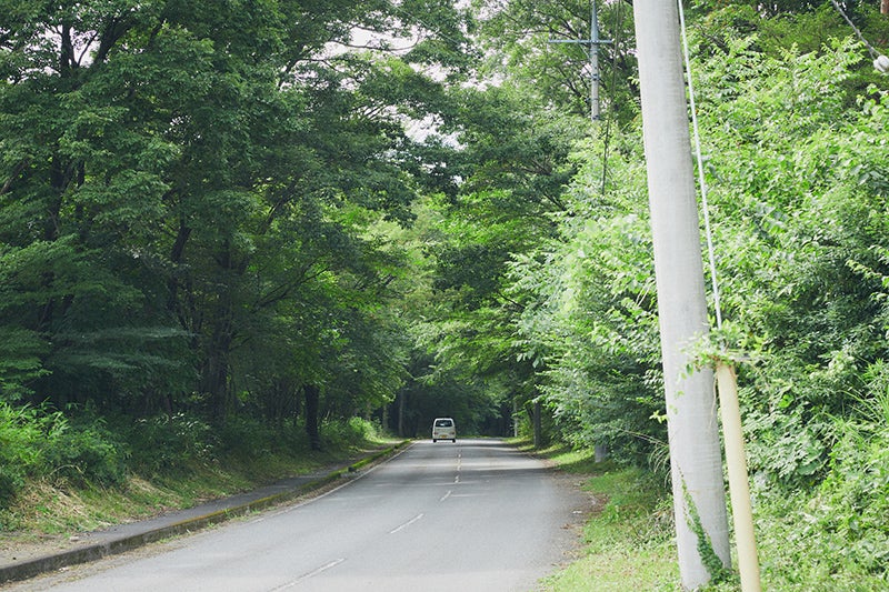 脇道に入れば、緑の木々と道がせめぎ合う。