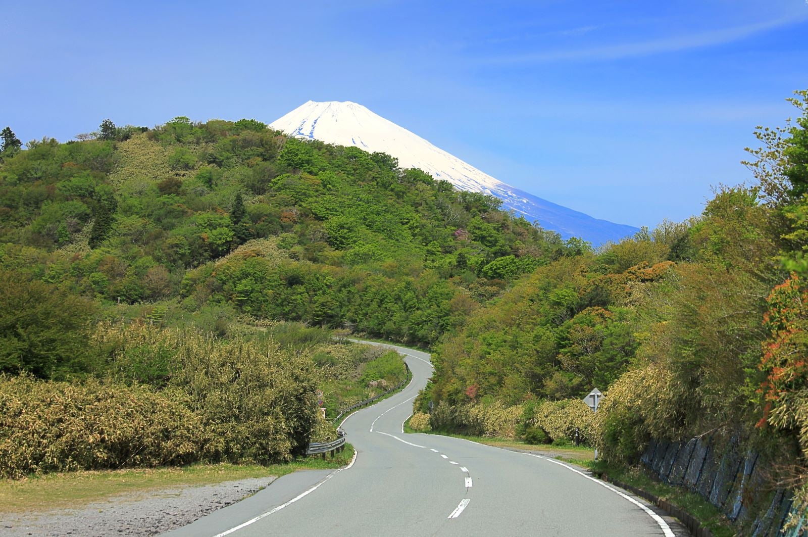 写真3 富士山を取り巻く四季折々の自然も、箱根の魅力のひとつ（撮影エリアは地図３を参照）