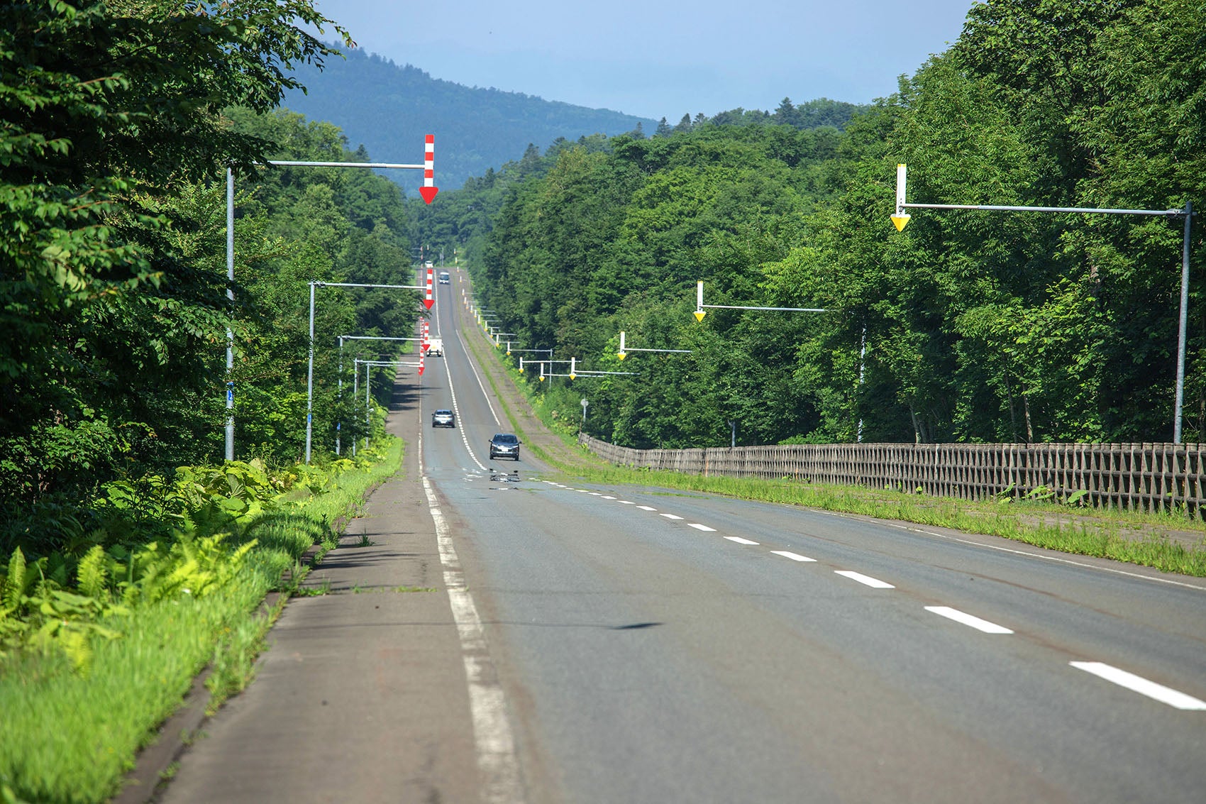 写真2 北海道らしいアップダウンのある直線道路。吹雪などで視界が限られる際に道路の路側線の位置を示す矢印つきポールの正式名称は「固定式視線誘導柱」といい、矢羽根と呼ばれることが多い（撮影エリアは地図２を参照）