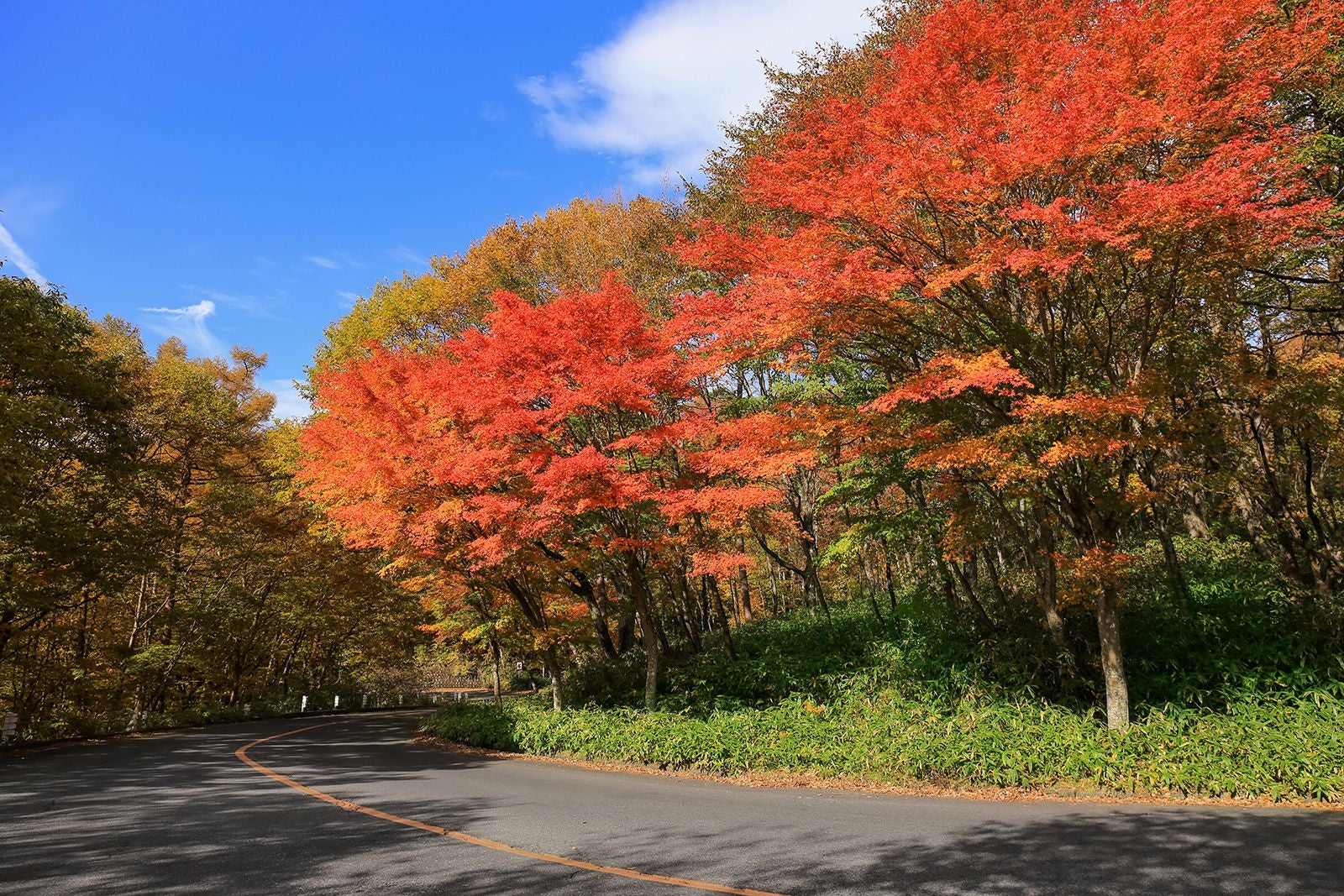 日塩もみじラインの画像その4