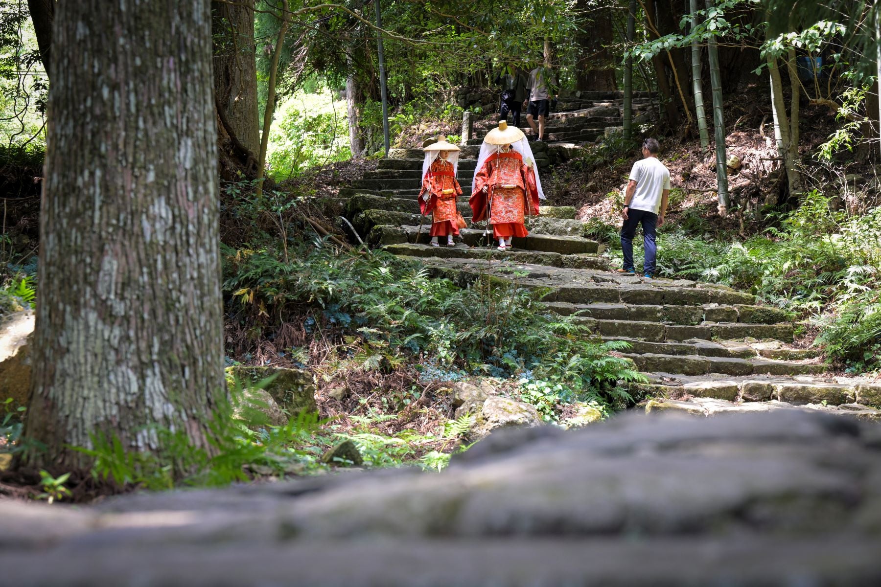 熊野古道