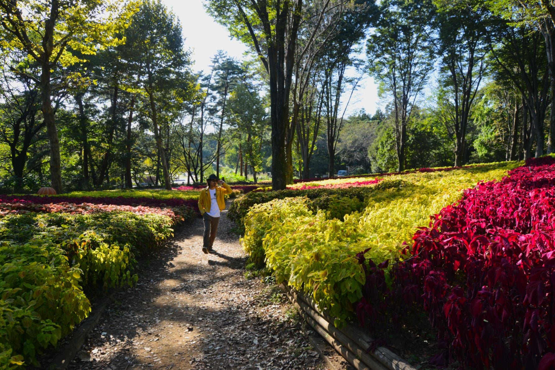 国営武蔵丘陵森林公園