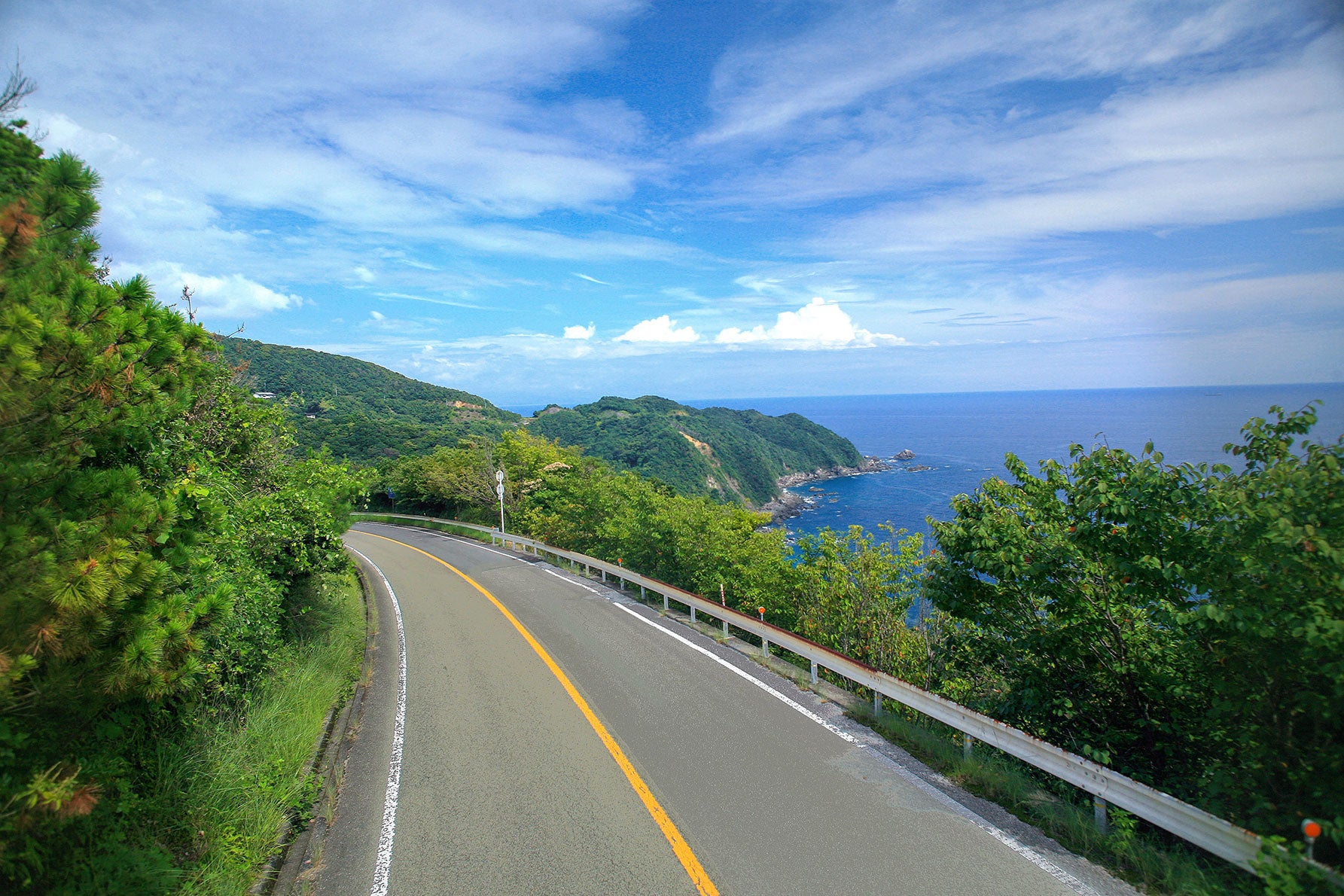 断崖絶壁の海岸線がつづく太平洋側の景色はまるで別世界のようだ